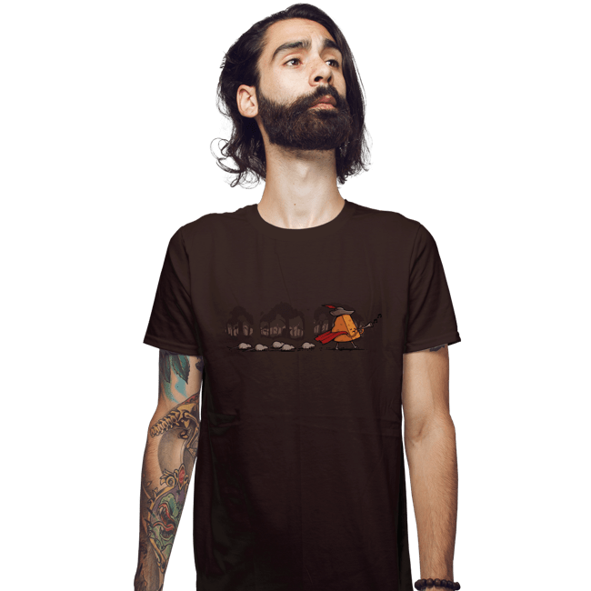 Shirts Fitted Shirts, Mens / Small / Dark Chocolate Hamelin's Secret