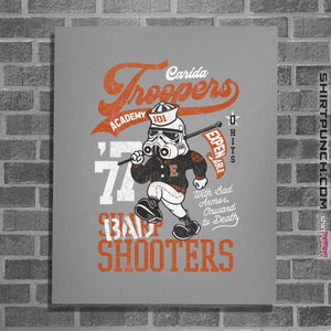 Daily_Deal_Shirts Posters / 4"x6" / Sports Grey Troopers Academy