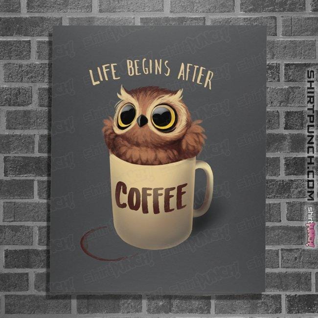 Shirts Posters / 4"x6" / Charcoal Night Owl