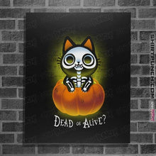 Load image into Gallery viewer, Daily_Deal_Shirts Posters / 4&quot;x6&quot; / Black Schrodinger Halloween
