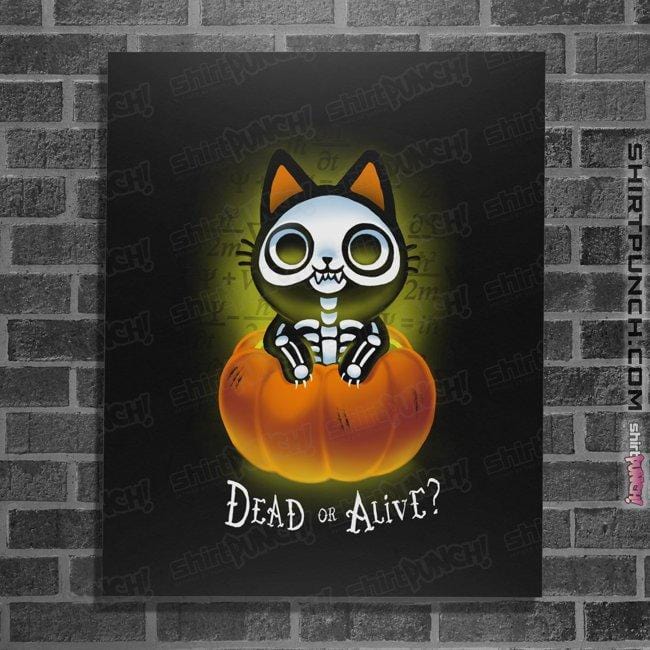 Daily_Deal_Shirts Posters / 4"x6" / Black Schrodinger Halloween