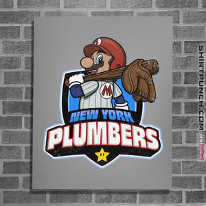 Daily_Deal_Shirts Posters / 4"x6" / Sports Grey Go Plumbers