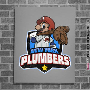 Daily_Deal_Shirts Posters / 4"x6" / Sports Grey Go Plumbers