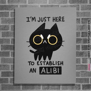 Daily_Deal_Shirts Posters / 4"x6" / Sports Grey My Alibi