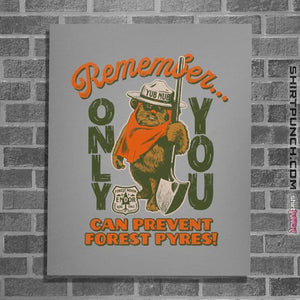 Daily_Deal_Shirts Posters / 4"x6" / Sports Grey Pyre Safety