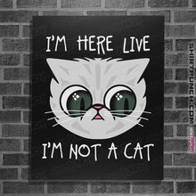 Load image into Gallery viewer, Secret_Shirts Posters / 4&quot;x6&quot; / Black Not Cat
