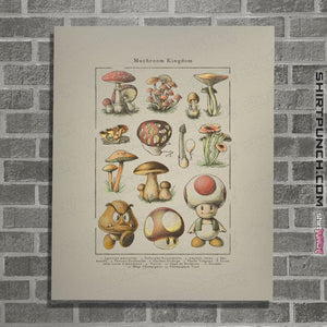 Daily_Deal_Shirts Posters / 4"x6" / Natural Mario Mushrooms