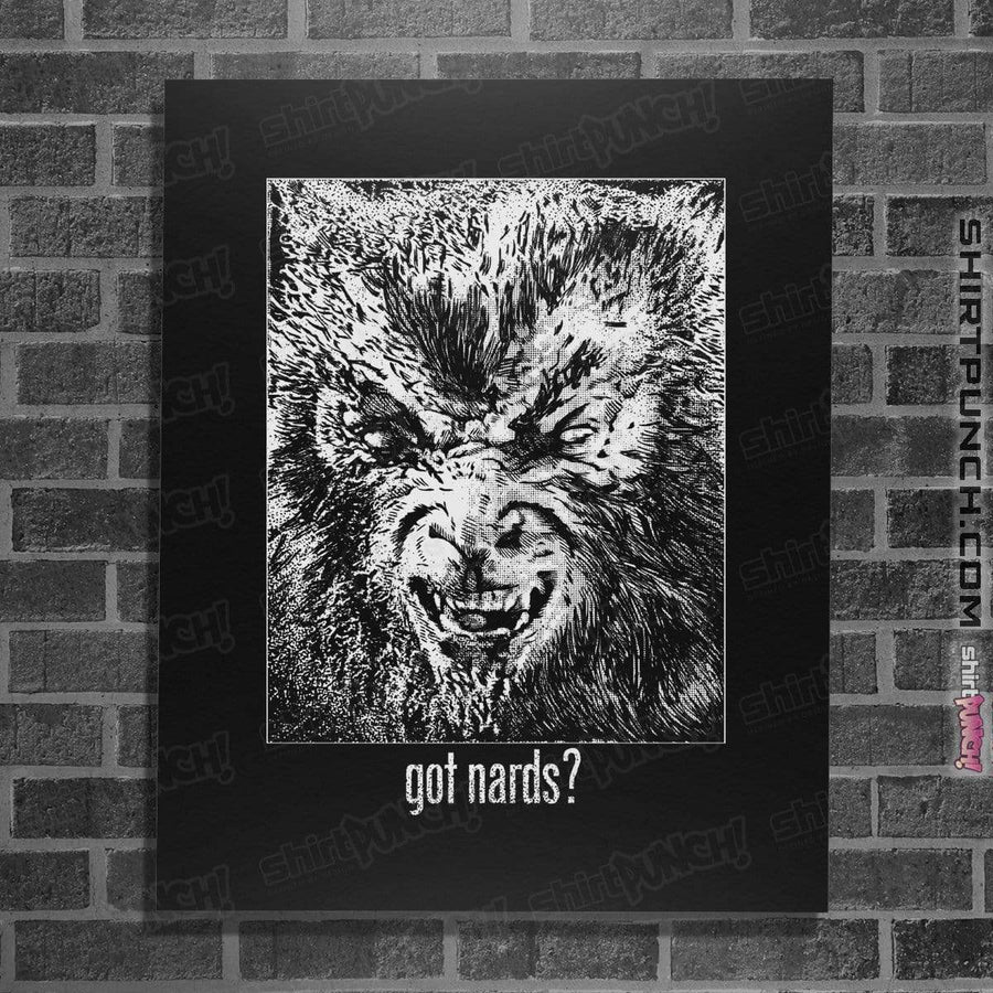 Shirts Posters / 4"x6" / Black Got Nards?