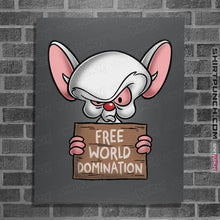 Load image into Gallery viewer, Daily_Deal_Shirts Posters / 4&quot;x6&quot; / Charcoal Free World Domination
