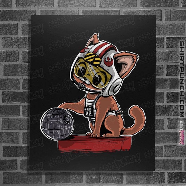 Daily_Deal_Shirts Posters / 4"x6" / Black Destroying The Death Star