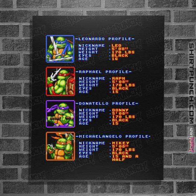 Secret_Shirts Posters / 4"x6" / Black TMNT Profiles