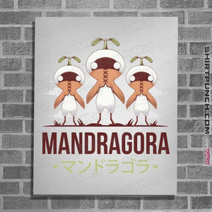 Shirts Posters / 4"x6" / White Mandragoras