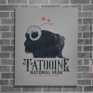 Daily_Deal_Shirts Posters / 4"x6" / Sports Grey Bantha Park
