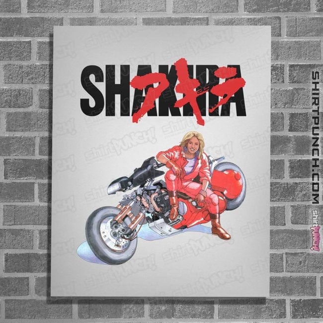 Secret_Shirts Posters / 4"x6" / White SHAKIRA