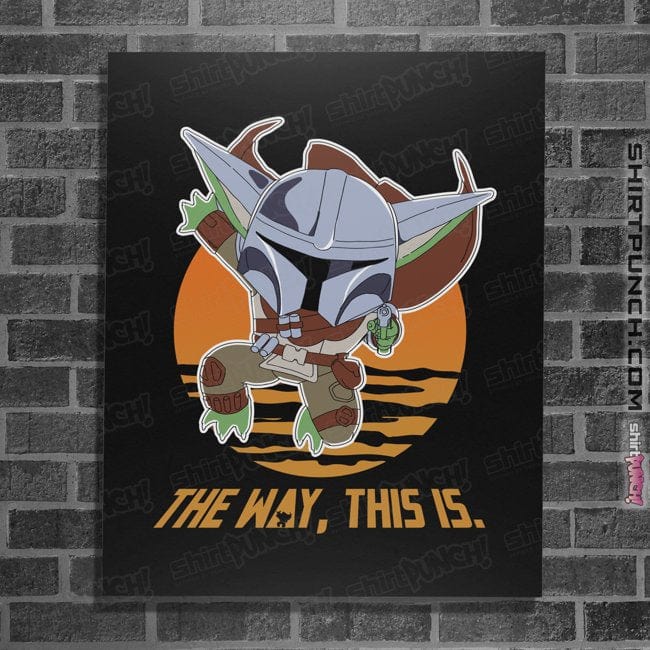 Secret_Shirts Posters / 4"x6" / Black The Way, This Is