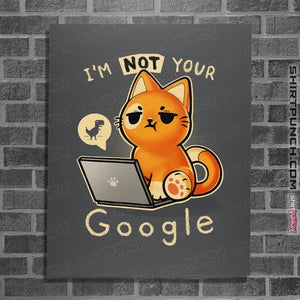 Daily_Deal_Shirts Posters / 4"x6" / Charcoal Not Your Google