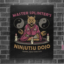 Load image into Gallery viewer, Daily_Deal_Shirts Posters / 4&quot;x6&quot; / Black Splinter&#39;s Ninjutsu Dojo
