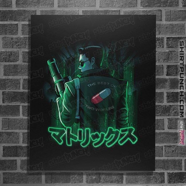 Daily_Deal_Shirts Posters / 4"x6" / Black The Best Of Two Worlds