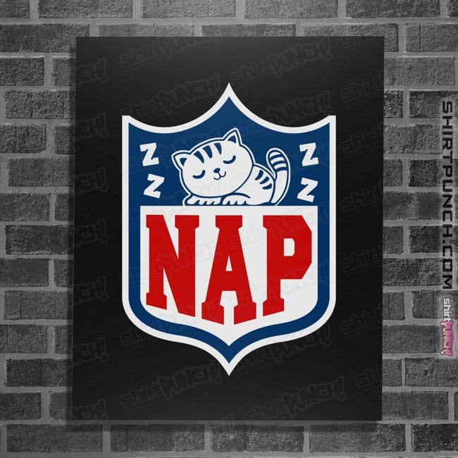 Secret_Shirts Posters / 4"x6" / Black Nap After Playing