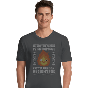 Shirts Premium Shirts, Unisex / Small / Charcoal Delightful Fire