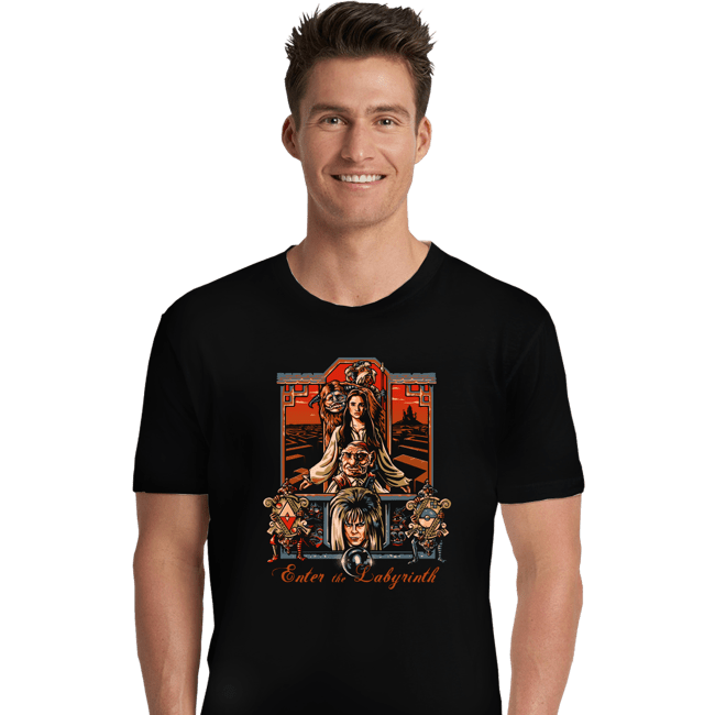 Daily_Deal_Shirts Premium Shirts, Unisex / Small / Black Enter The Labyrinth 80s