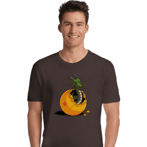 Shirts Premium Shirts, Unisex / Small / Dark Chocolate Dragon Egg