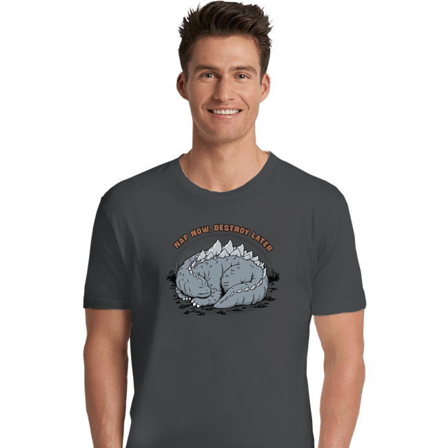 Daily_Deal_Shirts Premium Shirts, Unisex / Small / Charcoal Nap & Destroy