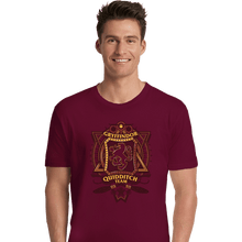 Load image into Gallery viewer, Shirts Premium Shirts, Unisex / Small / Maroon Quidditch Team
