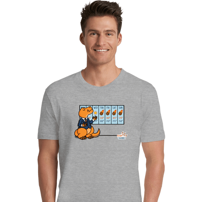 Secret_Shirts Premium Shirts, Unisex / Small / Sports Grey Weather T-Rex