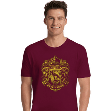 Load image into Gallery viewer, Sold_Out_Shirts Premium Shirts, Unisex / Small / Maroon Team Gryffindor
