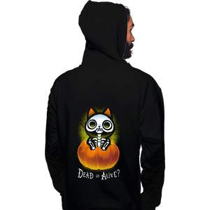 Daily_Deal_Shirts Pullover Hoodies, Unisex / Small / Black Schrodinger Halloween