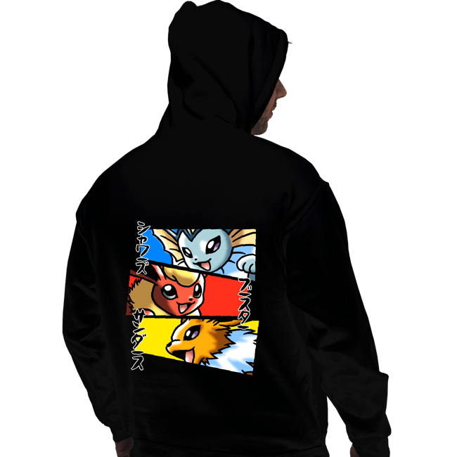 Shirts Pullover Hoodies, Unisex / Small / Black Evolutions