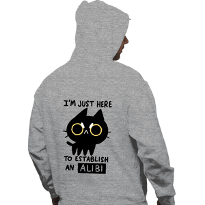 Daily_Deal_Shirts Pullover Hoodies, Unisex / Small / Sports Grey My Alibi