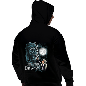 Daily_Deal_Shirts Pullover Hoodies, Unisex / Small / Black How Not To Train Your Dragon