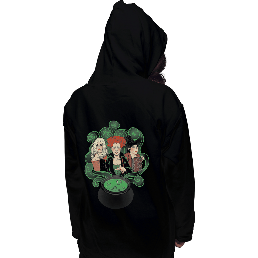 Shirts Pullover Hoodies, Unisex / Small / Black Hocus Pocus