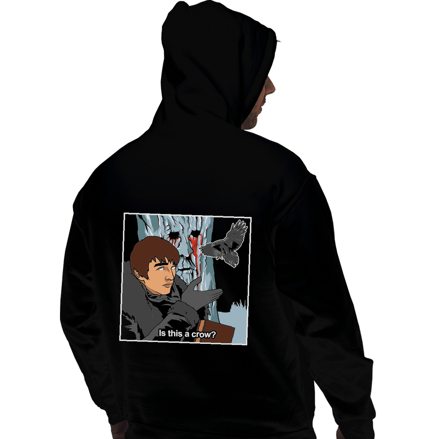 Shirts Pullover Hoodies, Unisex / Small / Black Is This A Crow
