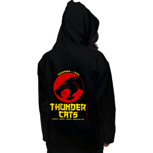 Daily_Deal_Shirts Pullover Hoodies, Unisex / Small / Black Thundercats Japan