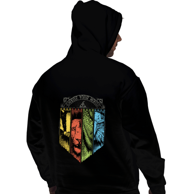 Daily_Deal_Shirts Pullover Hoodies, Unisex / Small / Black Choose Your House