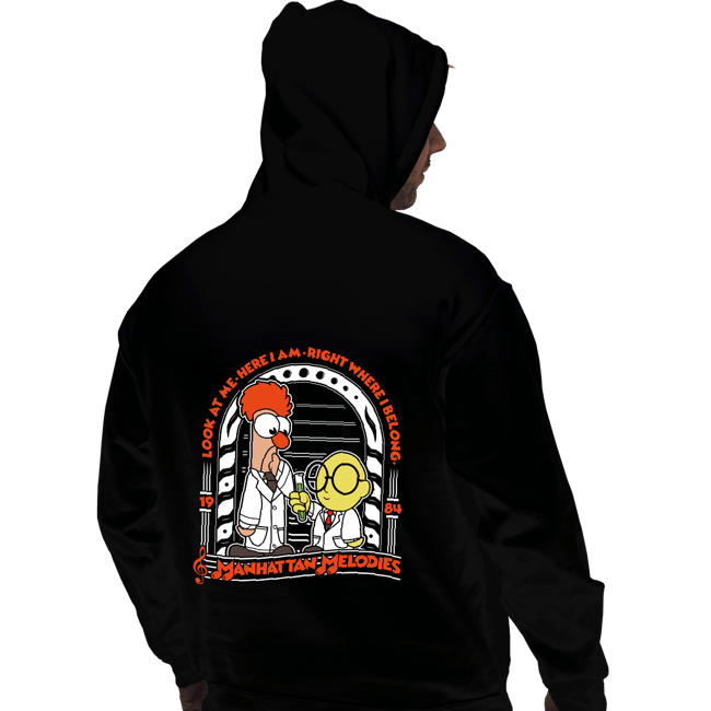 Shirts Pullover Hoodies, Unisex / Small / Black Beaker and Bunsen Melodies