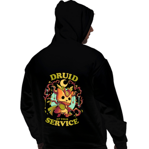 Daily_Deal_Shirts Pullover Hoodies, Unisex / Small / Black Druid's Call