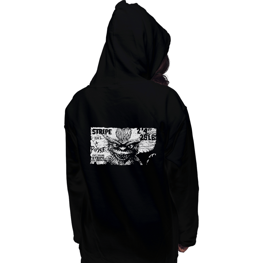 Shirts Pullover Hoodies, Unisex / Small / Black Stripe Has A Posse