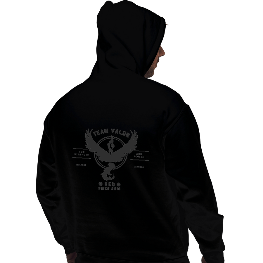 Shirts Pullover Hoodies, Unisex / Small / Black Valor Trainer