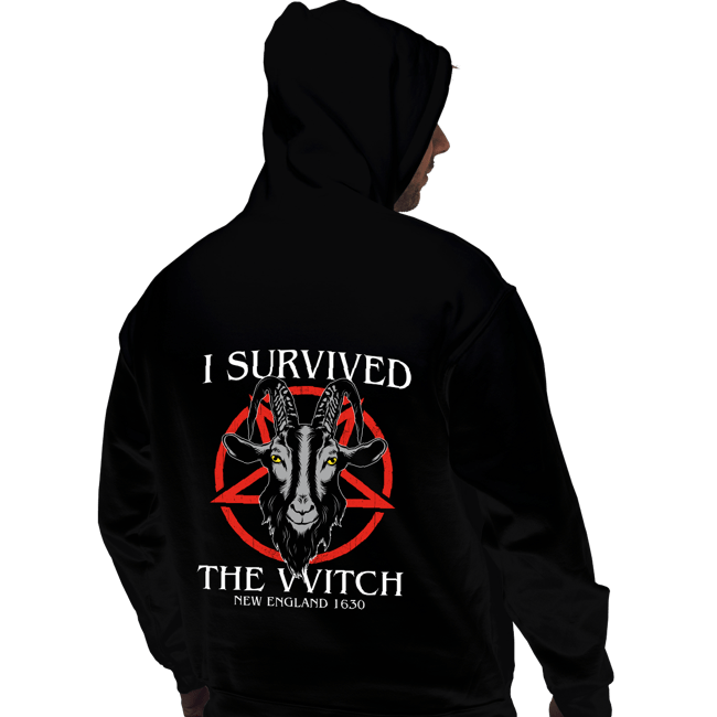 Daily_Deal_Shirts Pullover Hoodies, Unisex / Small / Black I Survived The VVitch