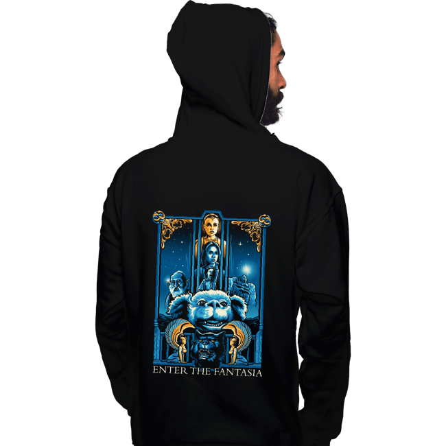Daily_Deal_Shirts Pullover Hoodies, Unisex / Small / Black Enter The Fantasia