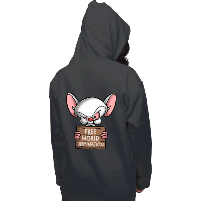 Daily_Deal_Shirts Pullover Hoodies, Unisex / Small / Charcoal Free World Domination