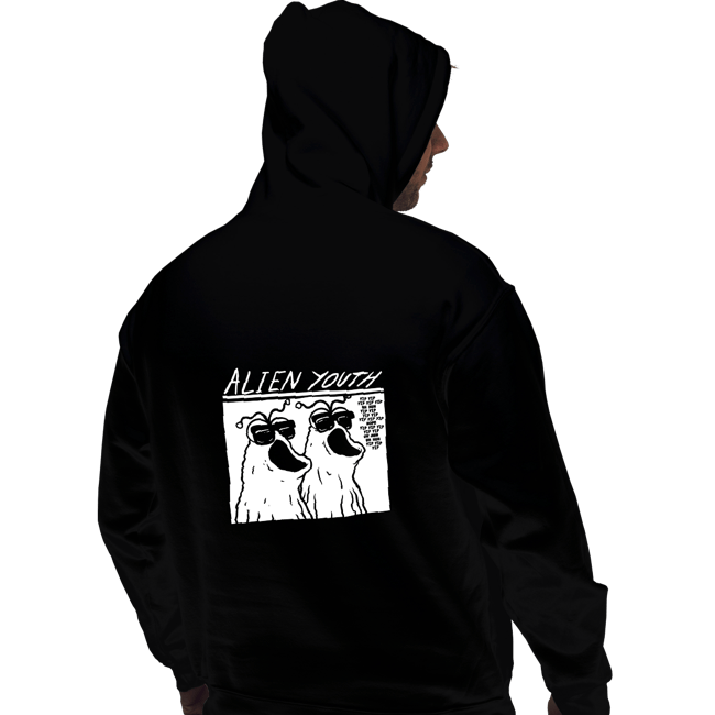 Daily_Deal_Shirts Pullover Hoodies, Unisex / Small / Black Alien Youth
