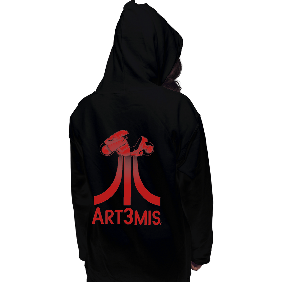 Shirts Pullover Hoodies, Unisex / Small / Black Art3mis