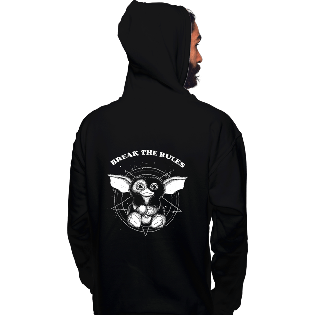 Daily_Deal_Shirts Pullover Hoodies, Unisex / Small / Black Break The Rules
