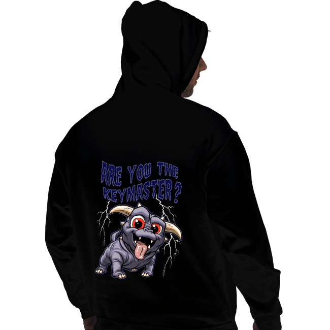 Daily_Deal_Shirts Pullover Hoodies, Unisex / Small / Black Are You The Keymaster?
