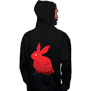 Daily_Deal_Shirts Pullover Hoodies, Unisex / Small / Black Death Awaits